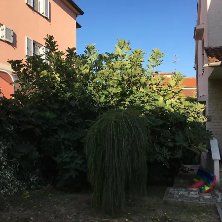 Bozena-porec *