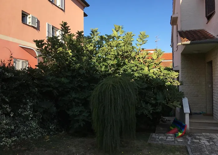 Bozena-porec *