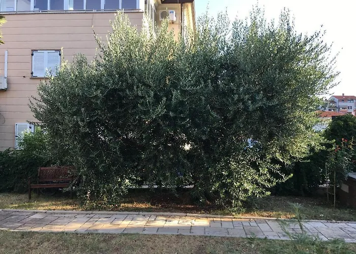Bozena-porec Апартаменты