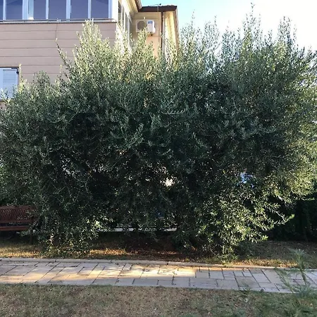 Bozena Apartment
